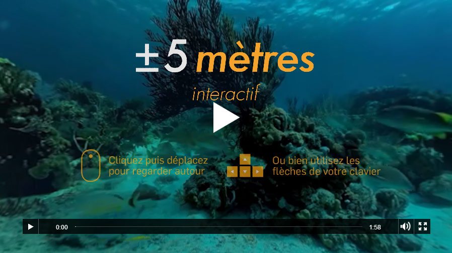  +/- 5 mètres Interactif, une expérience de plongée à 360°.